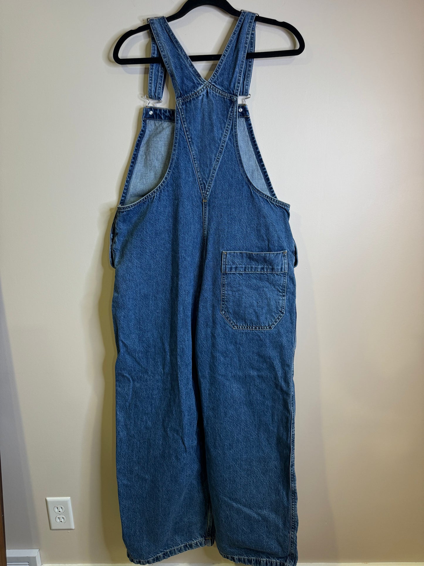 Everlane Gardner Overall - large